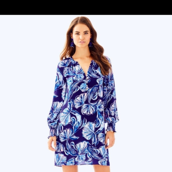 Lily Pulitzer Dress - Picture 1 of 4